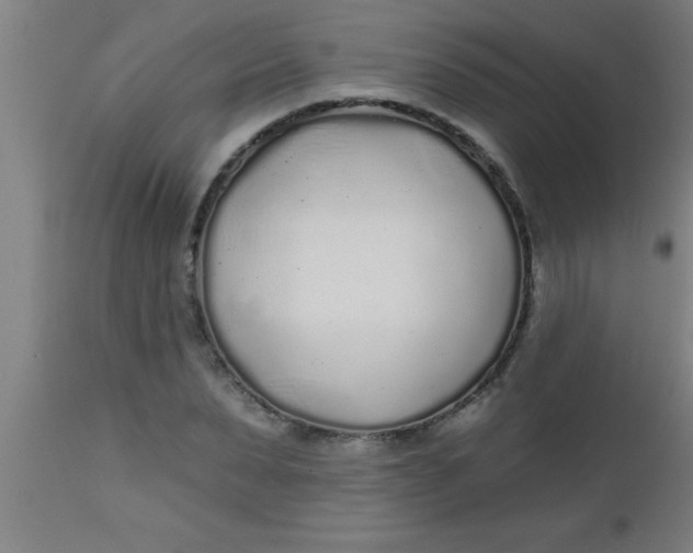 X0000112520879200909071331