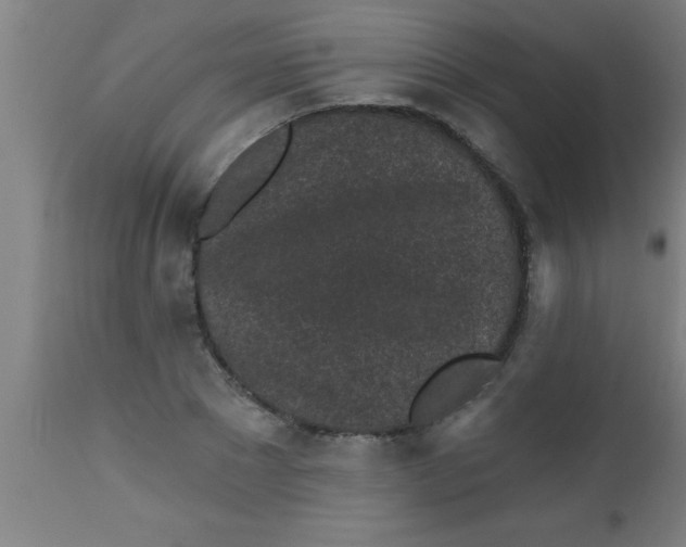 X0000112520881200909071331