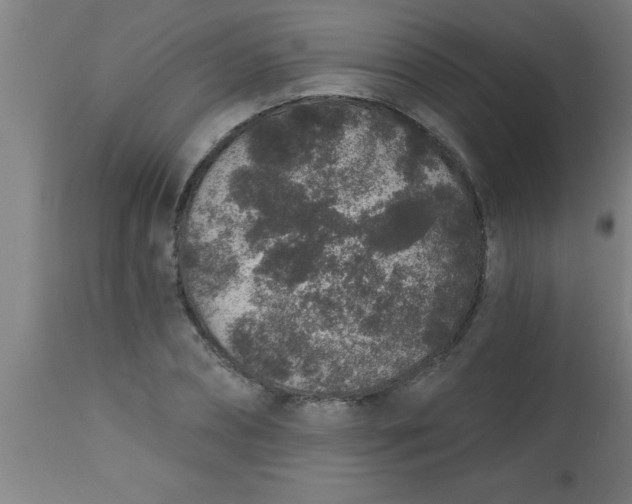 X0000112520882200909071331
