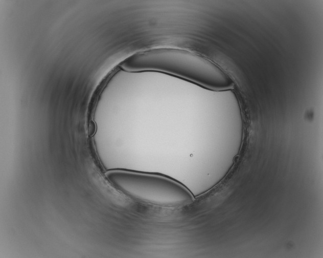 X0000112520884200909071330
