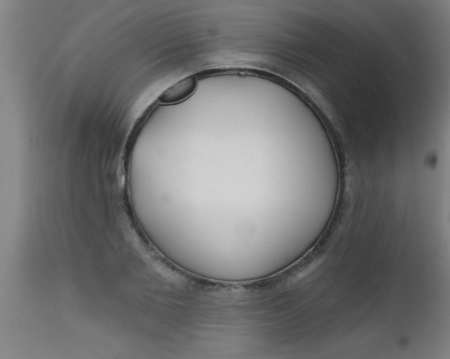 X0000112520885200909071330
