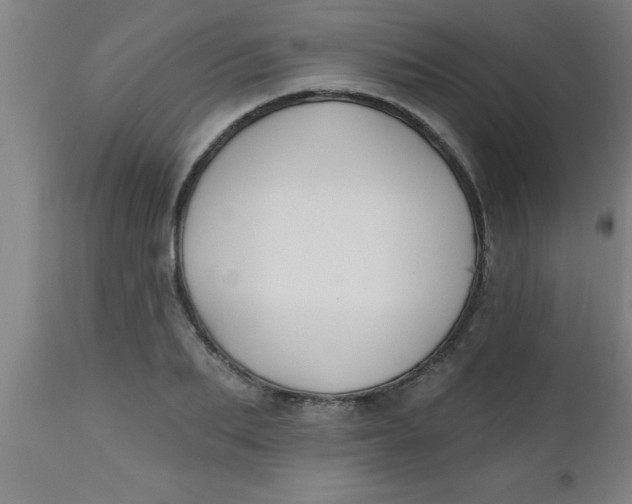 X0000112520887200909071330
