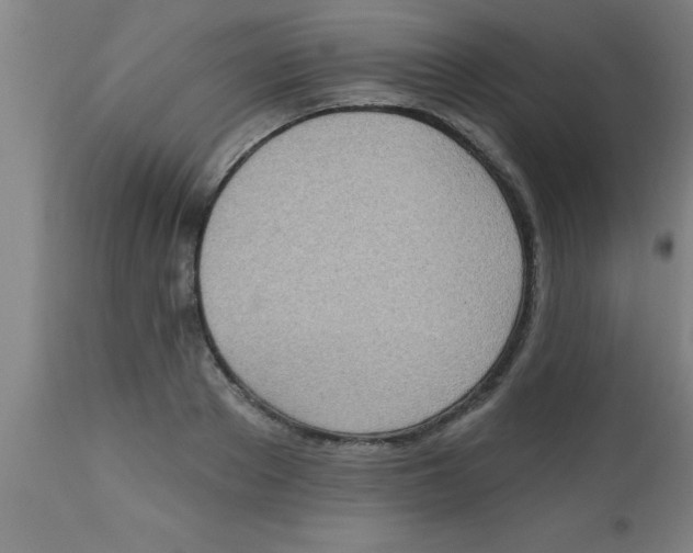 X0000112520889200909071330