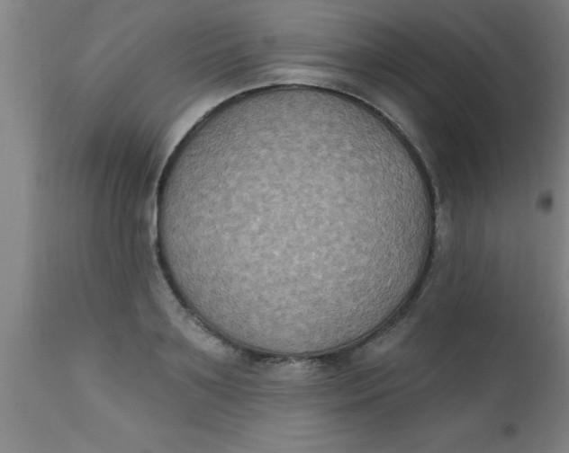 X0000112520891200909071330