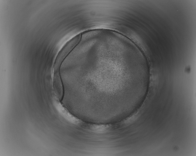 X0000112520892200909071330