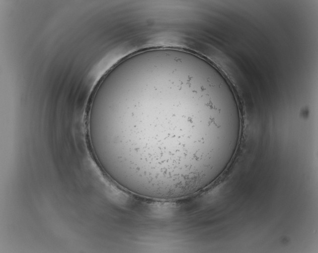 X0000112520893200909071330