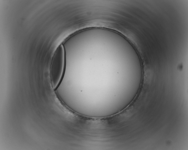 X0000112520896200909071330