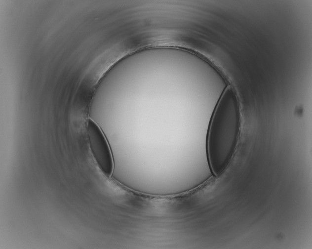 X0000112520897200909071330