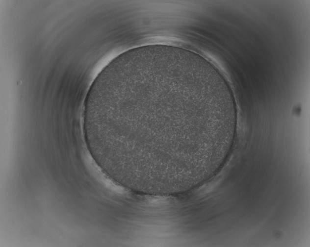 X0000112520899200909071330