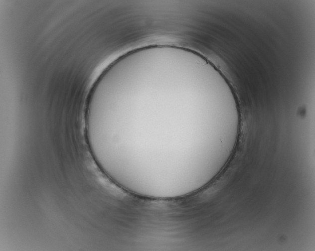 X0000112520904200909071330