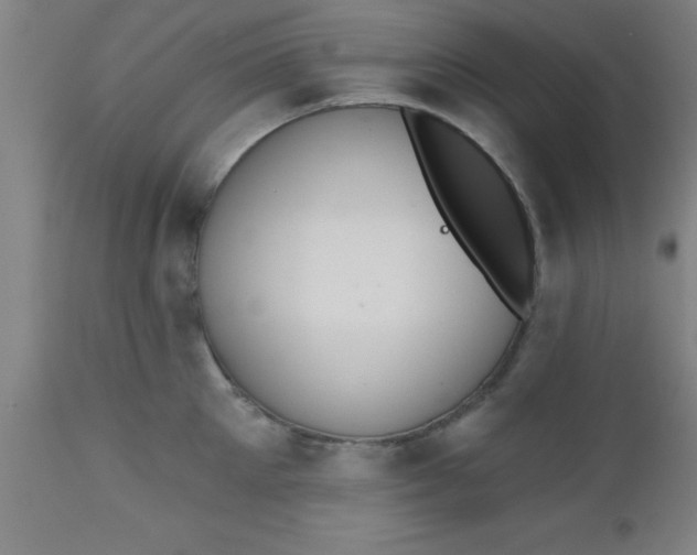 X0000112520905200909071330