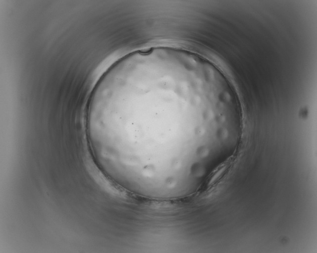 X0000112520907200909071330