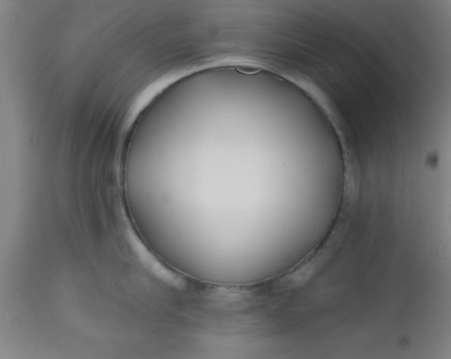 X0000112520910200909071330