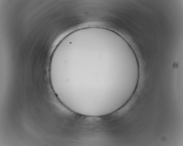 X0000112520912200909071330