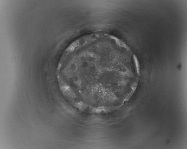 X0000112520913200909071329