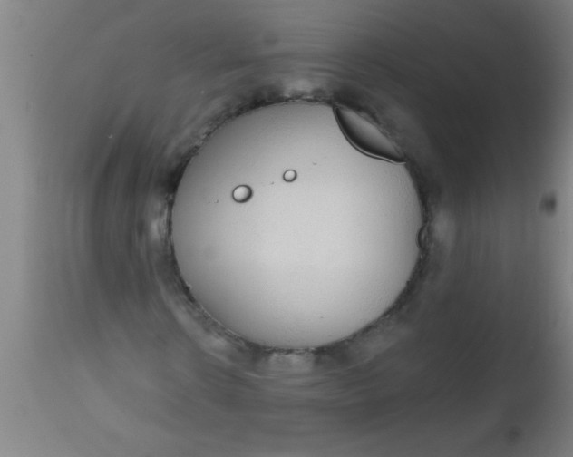 X0000112520914200909071329