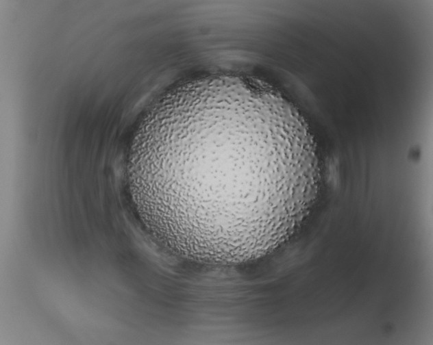 X0000112520915200909071329