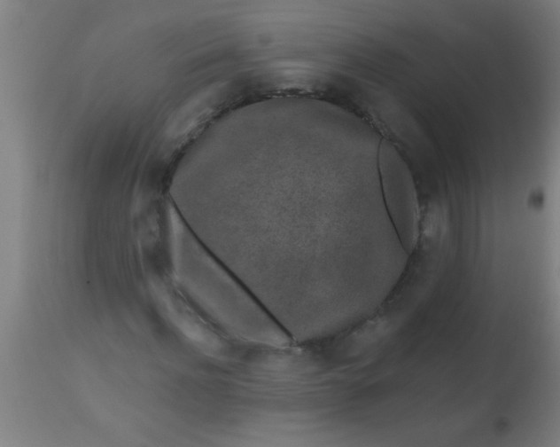 X0000112520916200909071329