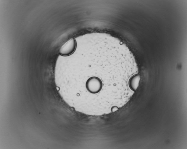X0000112520918200909071330