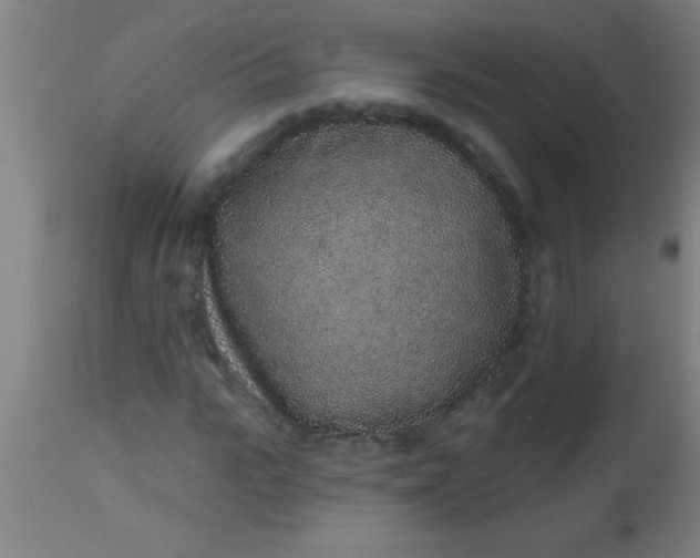 X0000112520919200909071330