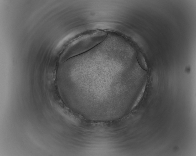 X0000112520920200909071330