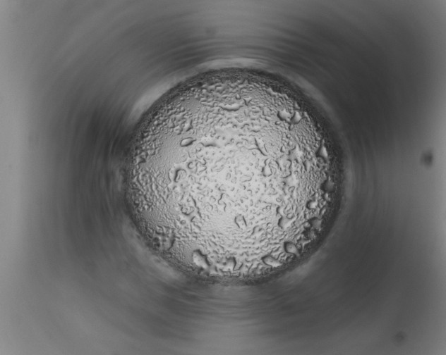 X0000112520921200909071330