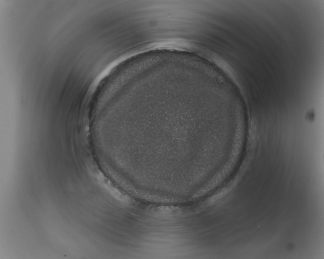 X0000112520923200909071330