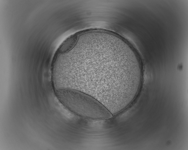 X0000112520924200909071330