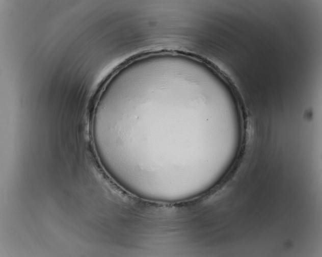 X0000112520925200909071330