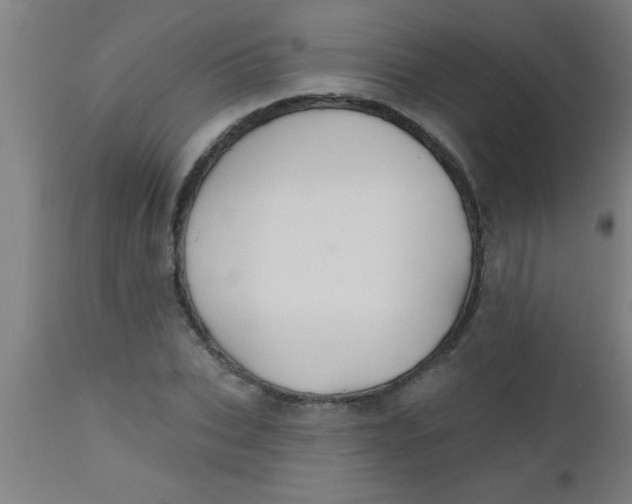 X0000112520927200909071330