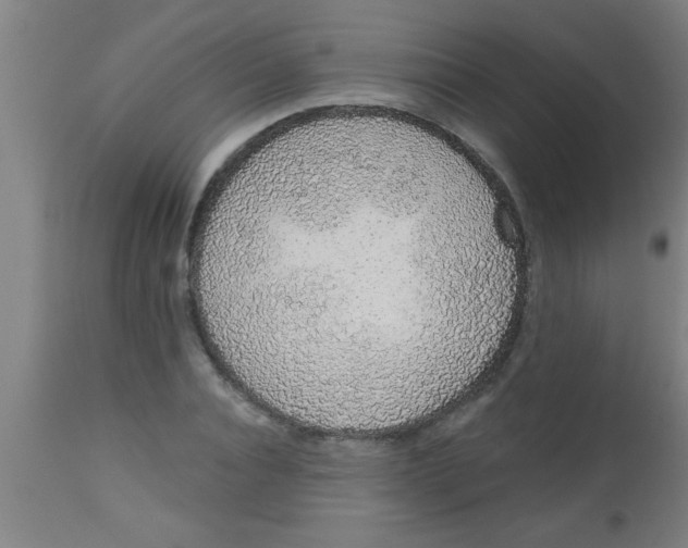 X0000112520928200909071330