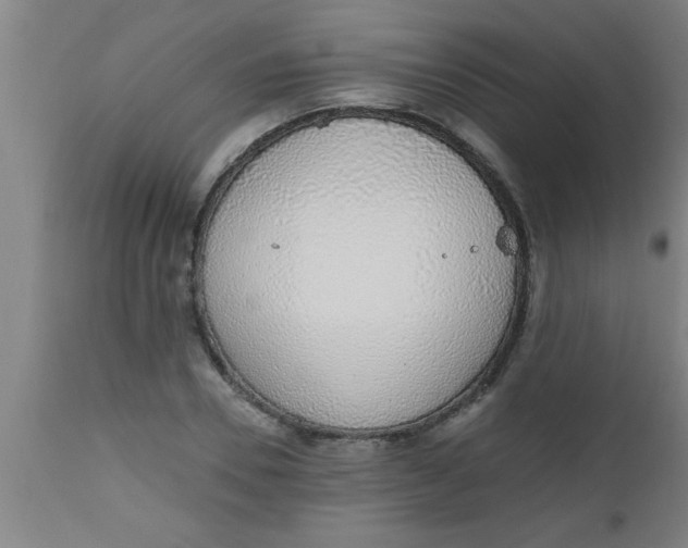 X0000112520930200909071330