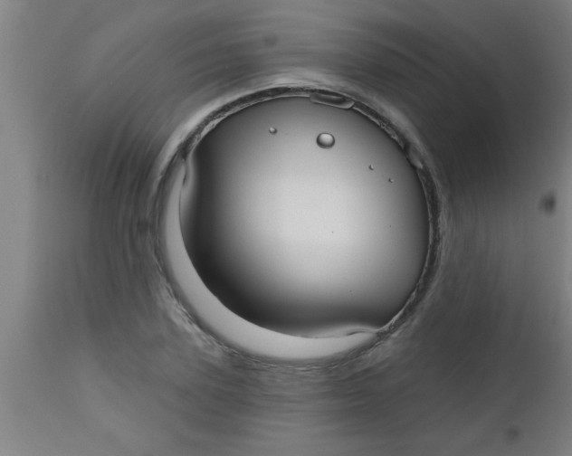 X0000112520931200909071330