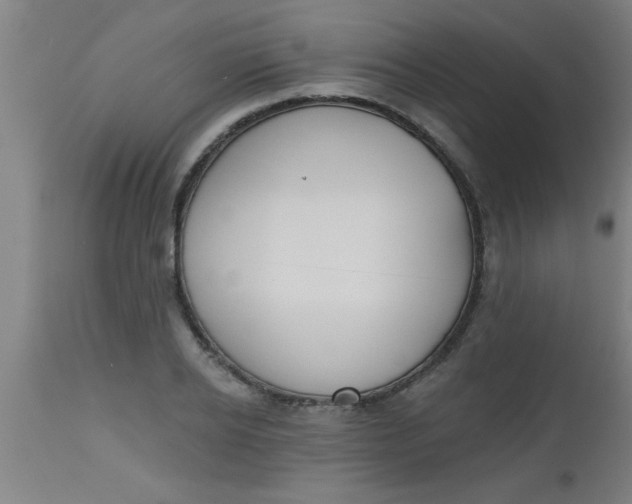 X0000112520934200909071330