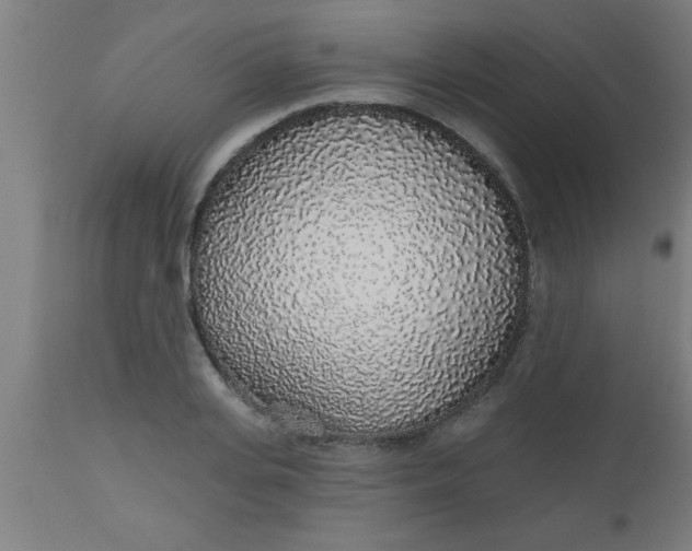 X0000112520935200909071330