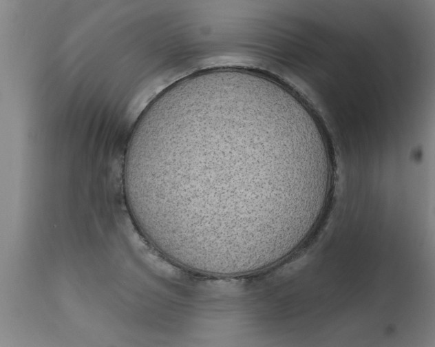 X0000112520937200909071330