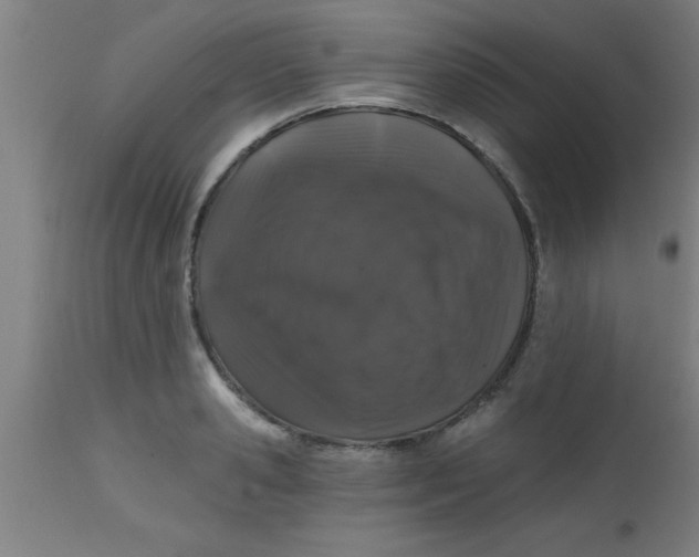 X0000112520941200909071330
