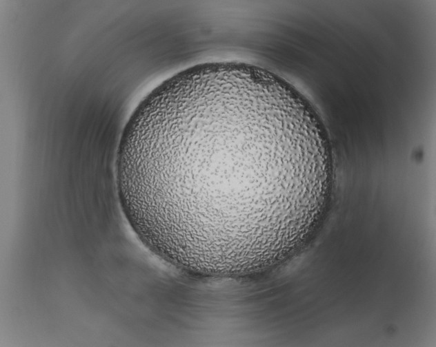 X0000112520943200909071330