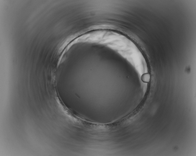 X0000112520945200909071330
