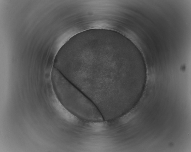 X0000112520946200909071330