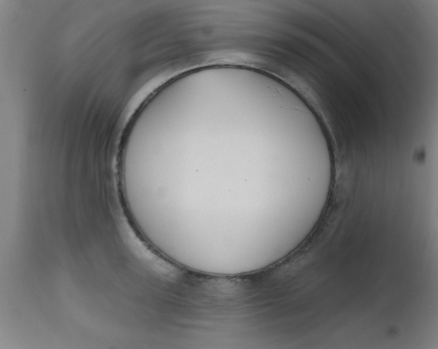 X0000112520947200909071330