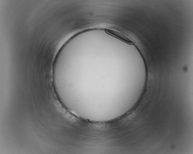 X0000112520948200909071330