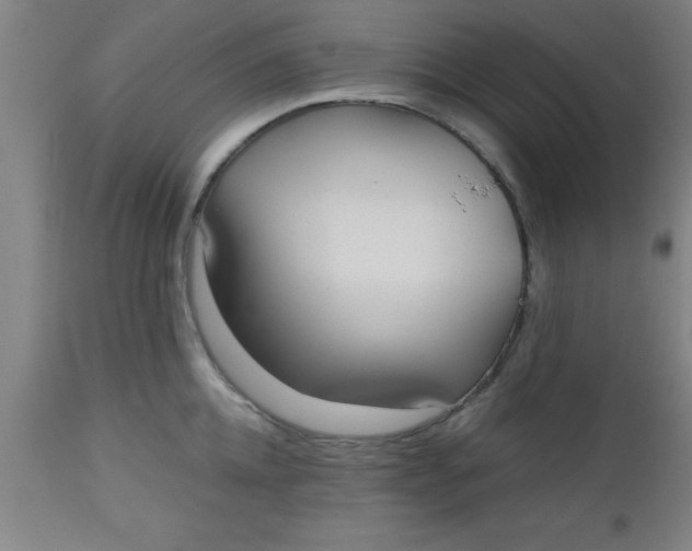 X0000112520952200909071330