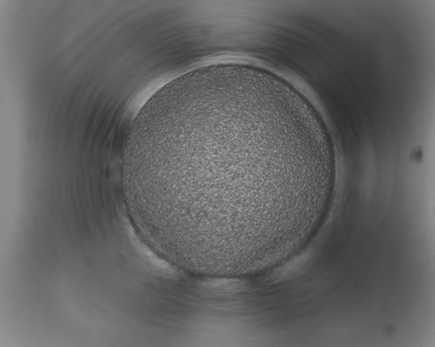 X0000112520953200909071330