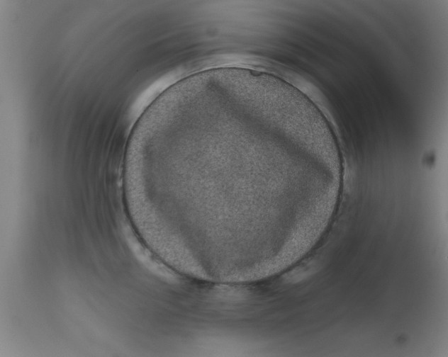 X0000112520954200909071330
