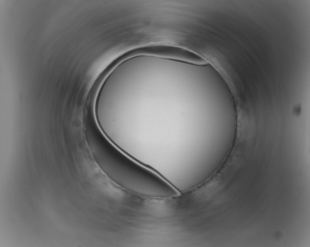 X0000112520956200909071330