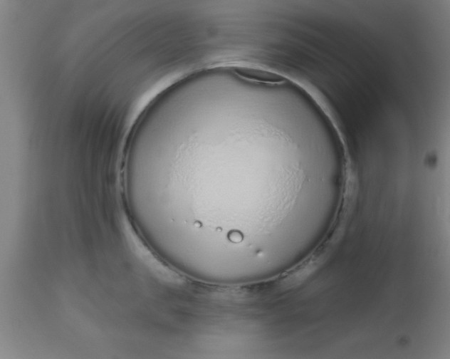 X0000112520957200909071330