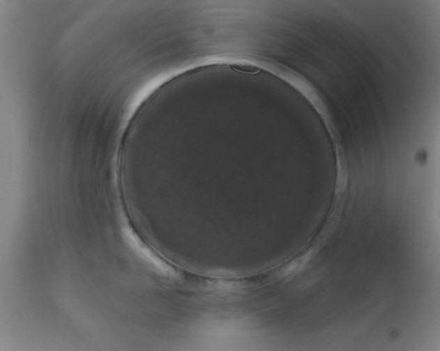 X0000112520958200909071330