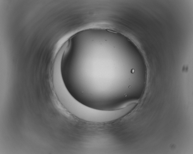 X0000112520960200909071330
