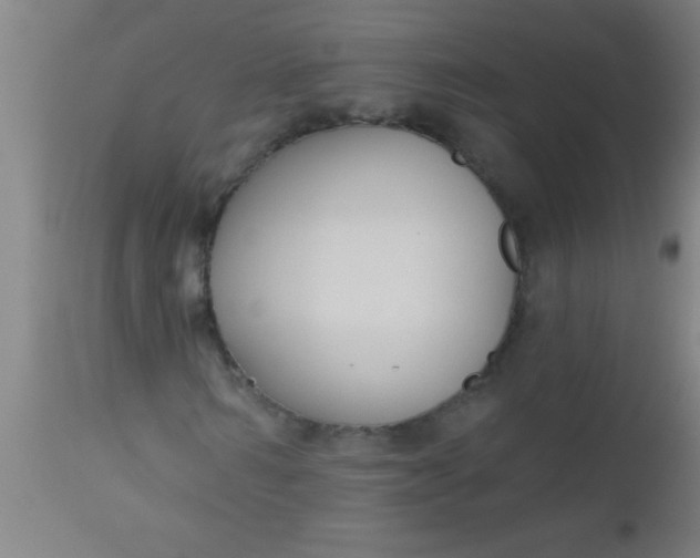X0000112520962200909071329